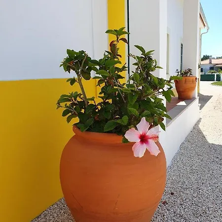 Apartamento Quinta Da Familia *