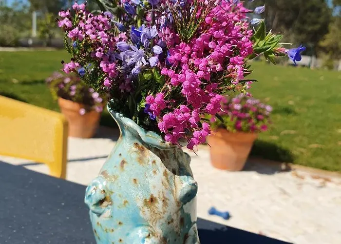 Appartement Quinta Da Familia Caldas Da Rainha