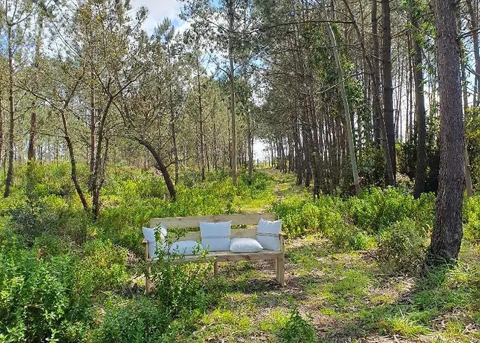 Quinta Da Familia * Caldas Da Rainha