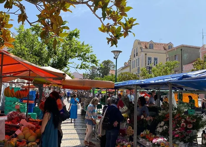 Quinta Da Familia Appartement *